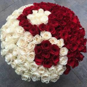 Коробка 101 роза красная и белая с упаковкой R1254